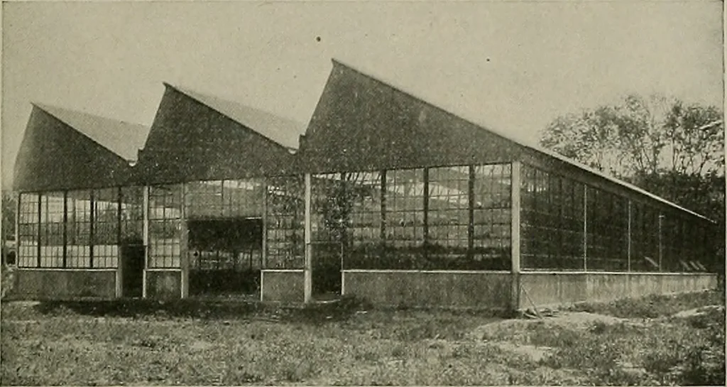 An illustration from The Architect & engineer of California and the Pacific Coast, 1905, leaf 446