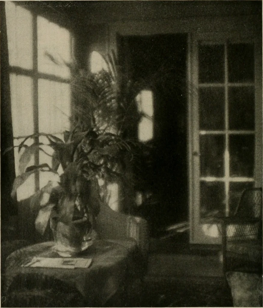 An illustration from The Architect & engineer of California and the Pacific Coast, 1905, leaf 851
