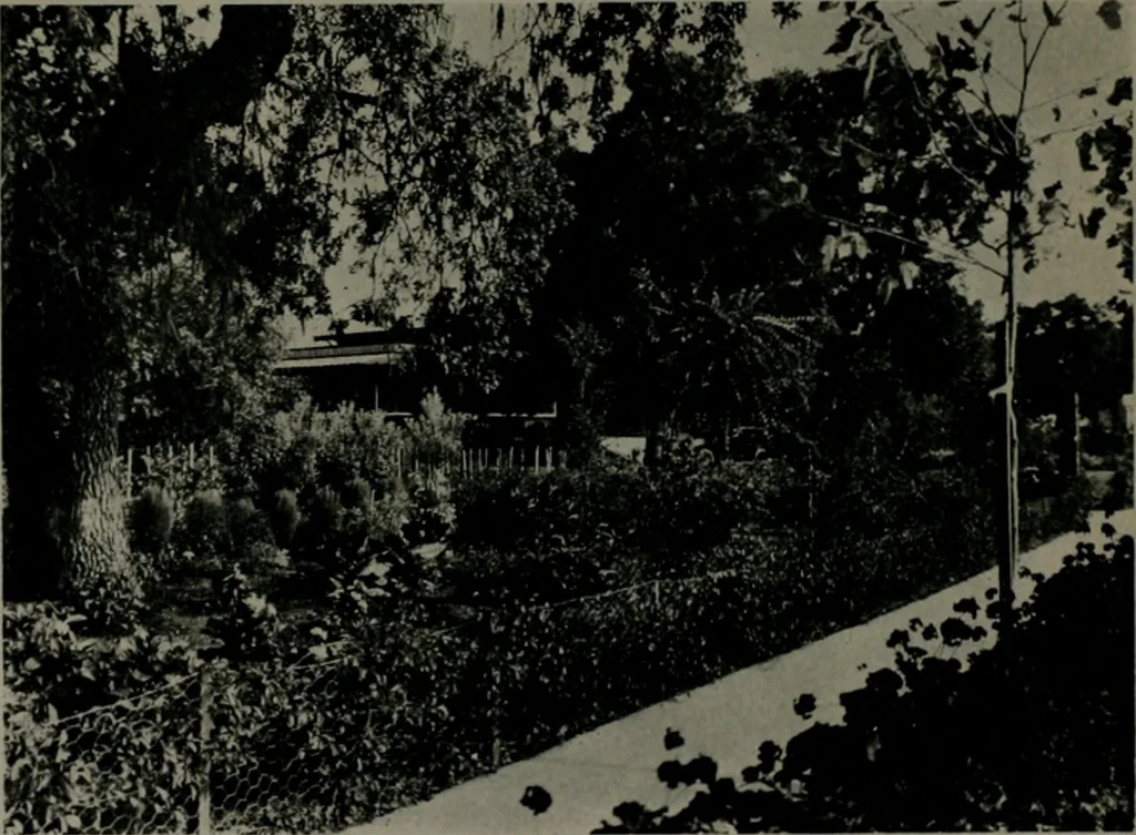 An illustration from The Architect & engineer of California and the Pacific Coast, 1905, leaf 207