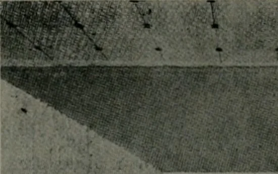 An illustration from The Architect & engineer of California and the Pacific Coast, 1905, leaf 333