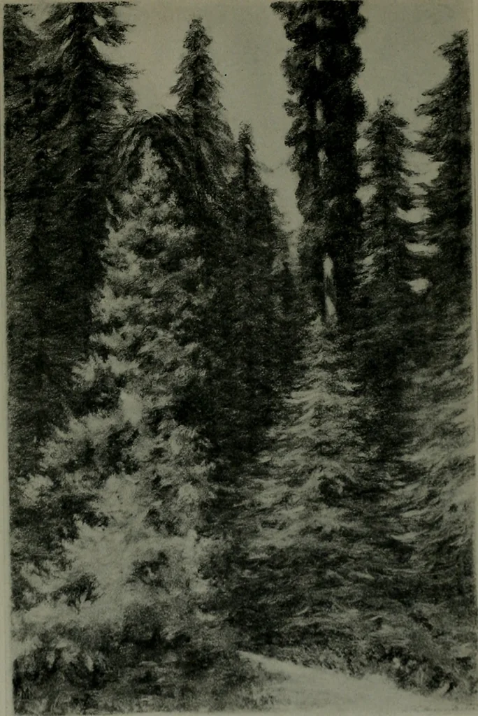 An illustration from The Architect & engineer of California and the Pacific Coast, 1905, leaf 896