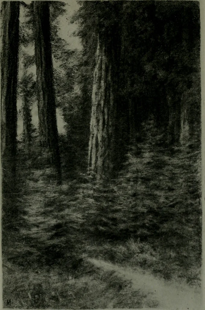 An illustration from The Architect & engineer of California and the Pacific Coast, 1905, leaf 898