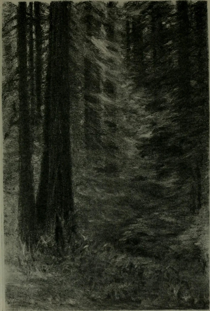 An illustration from The Architect & engineer of California and the Pacific Coast, 1905, leaf 900