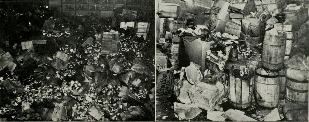An illustration from Bay region business v.5 (1948), 1905, leaf 256