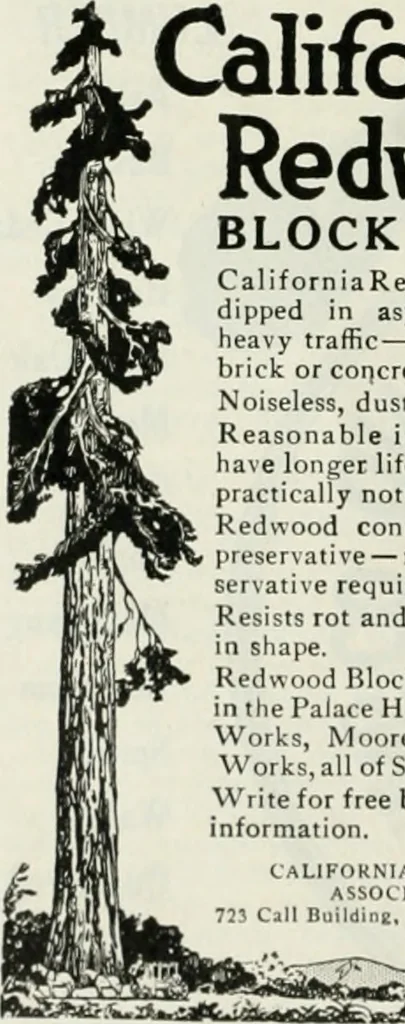 An illustration from The Architect & engineer of California and the Pacific Coast, 1905, leaf 287