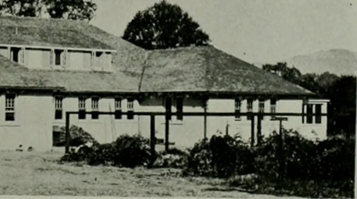 An illustration from The Architect & engineer of California and the Pacific Coast, 1905, leaf 358