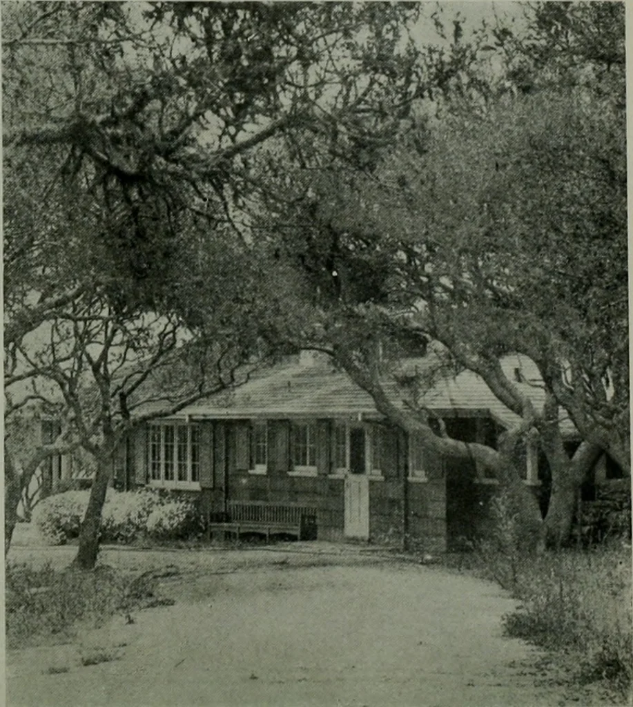 An illustration from The Architect & engineer of California and the Pacific Coast, 1905, leaf 669