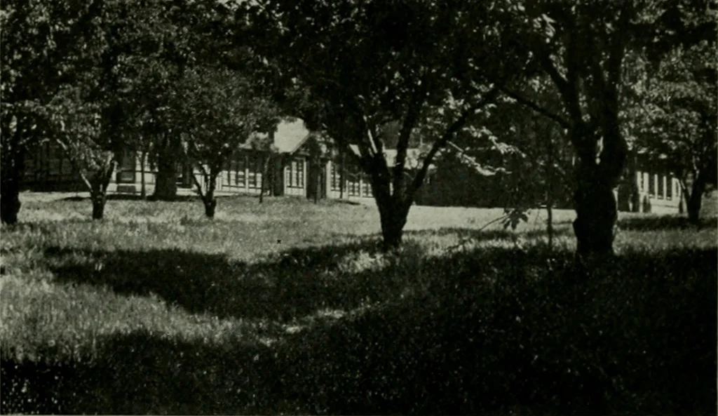 An illustration from The Architect & engineer of California and the Pacific Coast, 1905, leaf 223