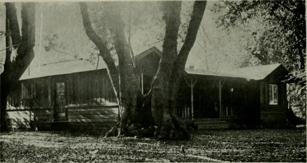 An illustration from The Architect & engineer of California and the Pacific Coast, 1905, leaf 233