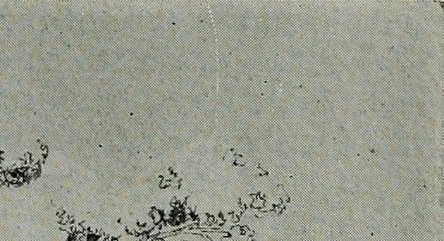 An illustration from The Architect & engineer of California and the Pacific Coast, 1905, leaf 52