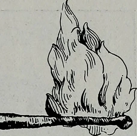 An illustration from The Architect & engineer of California and the Pacific Coast, 1905, leaf 626