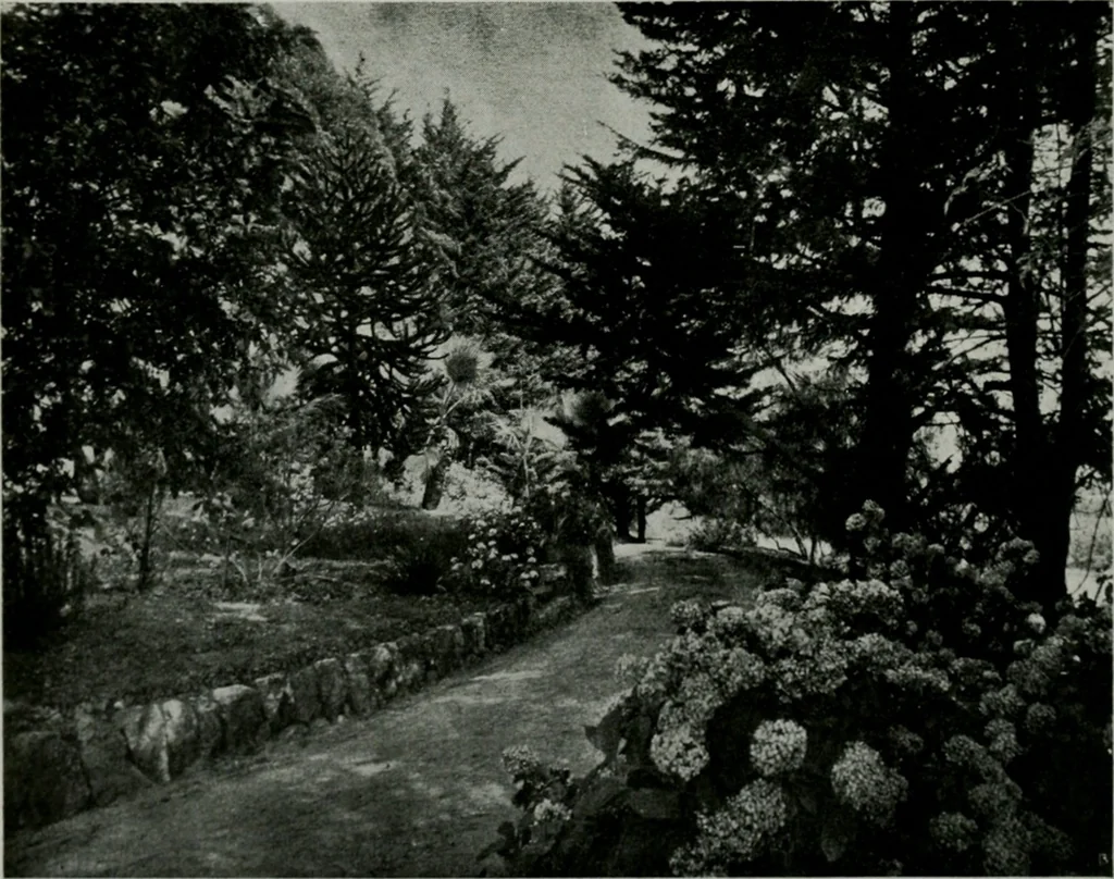 An illustration from The Architect & engineer of California and the Pacific Coast, 1905, leaf 639