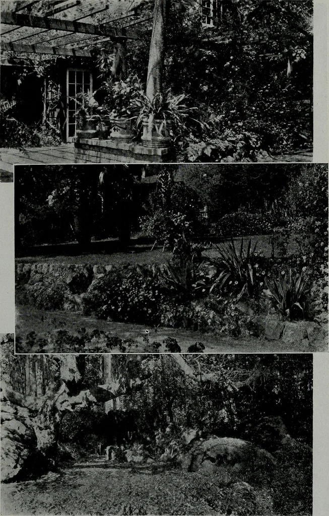 An illustration from The Architect & engineer of California and the Pacific Coast, 1905, leaf 642