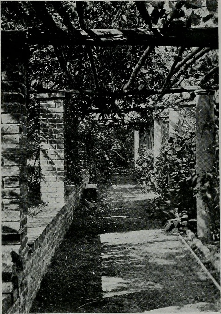 An illustration from The Architect & engineer of California and the Pacific Coast, 1905, leaf 646