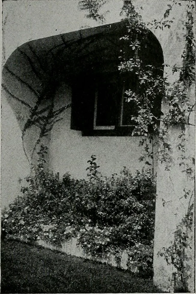 An illustration from The Architect & engineer of California and the Pacific Coast, 1905, leaf 822