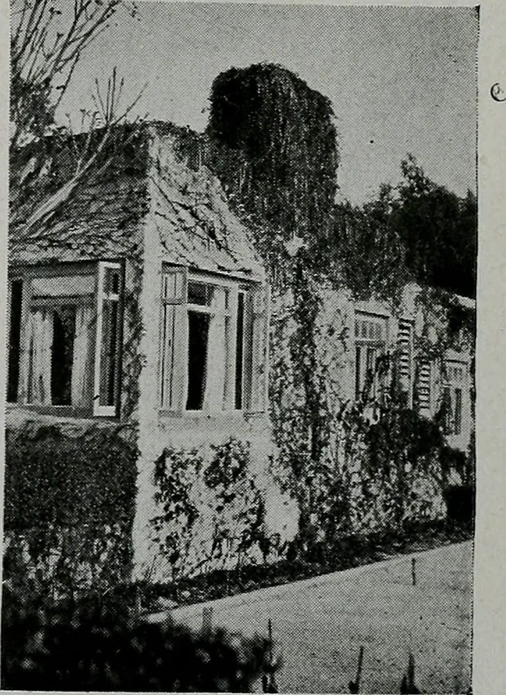 An illustration from The Architect & engineer of California and the Pacific Coast, 1905, leaf 822