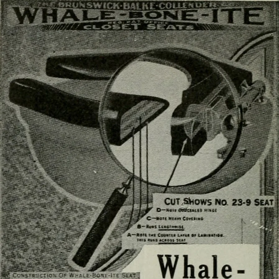 An illustration from Architect and engineer, 1905, leaf 173