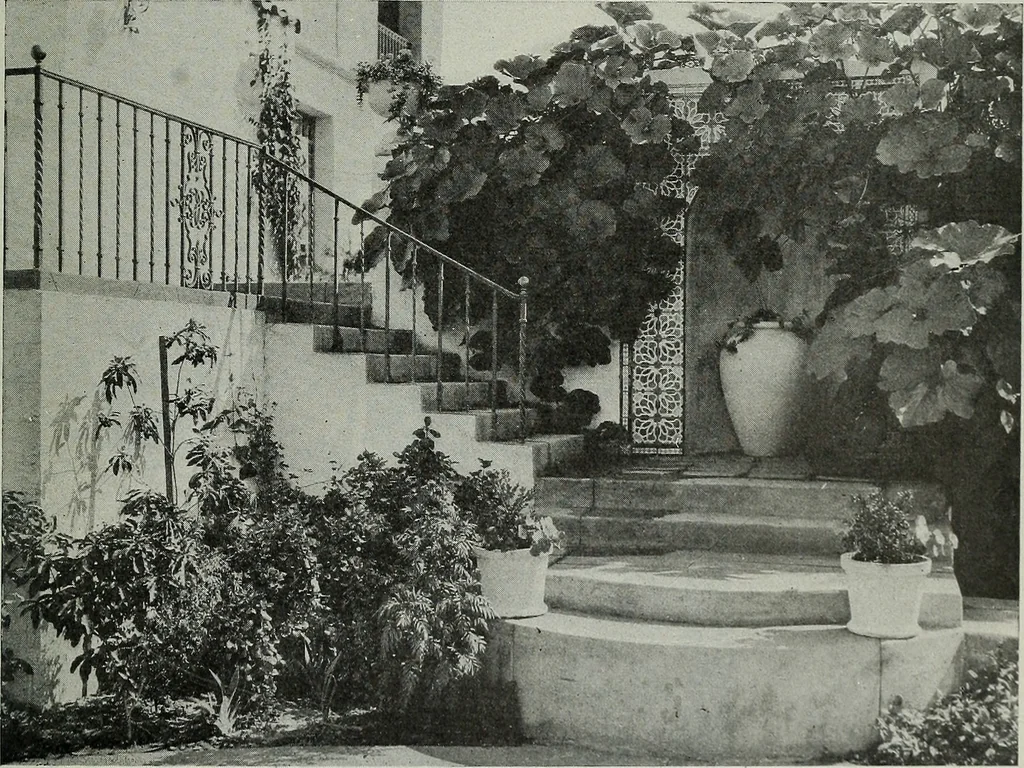 An illustration from Architect and engineer, 1905, leaf 246