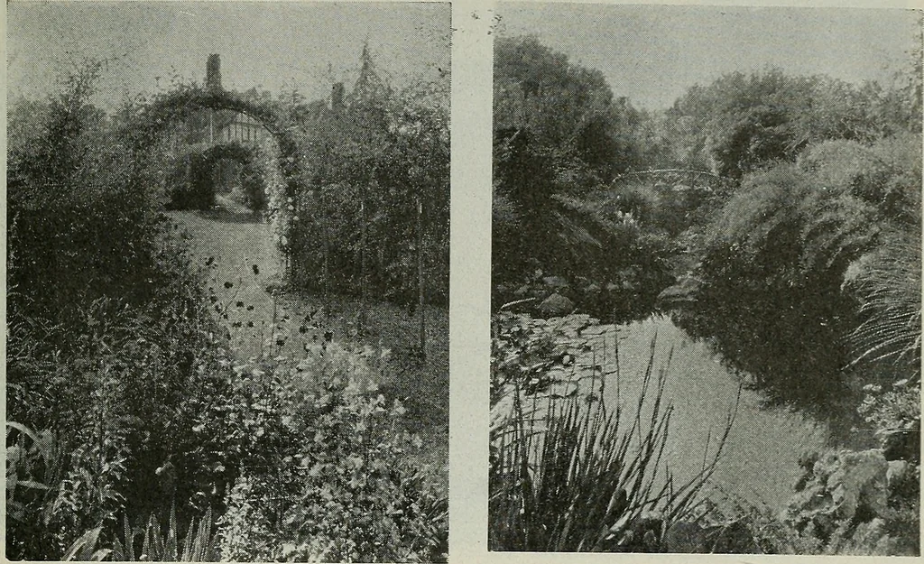 An illustration from Architect and engineer, 1905, leaf 276