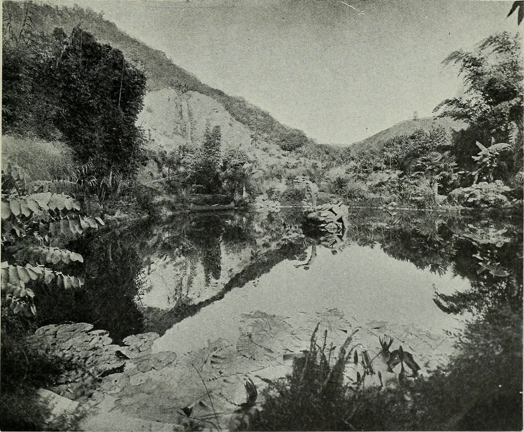 An illustration from Architect and engineer, 1905, leaf 278
