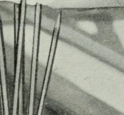 An illustration from Architect and engineer, 1905, leaf 537