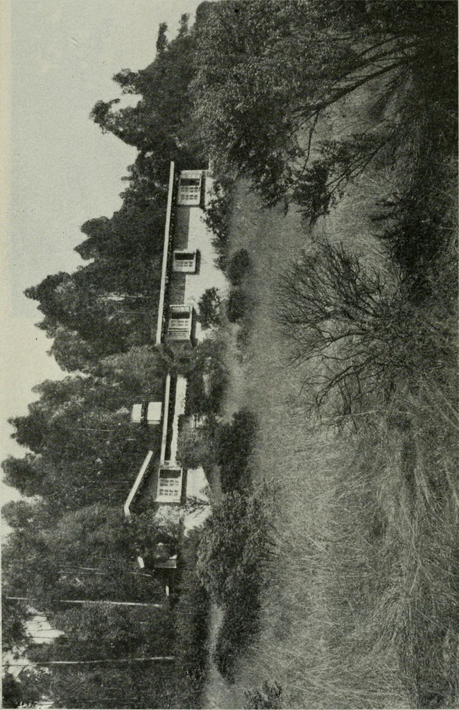 An illustration from Architect and engineer, 1905, leaf 561