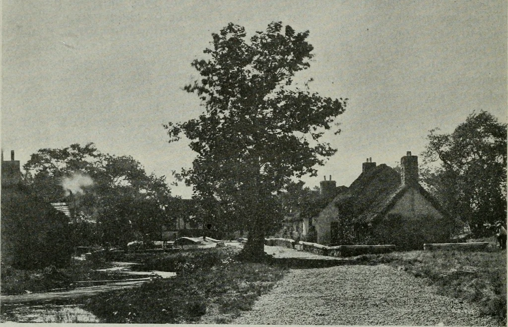 An illustration from Architect and engineer, 1905, leaf 575
