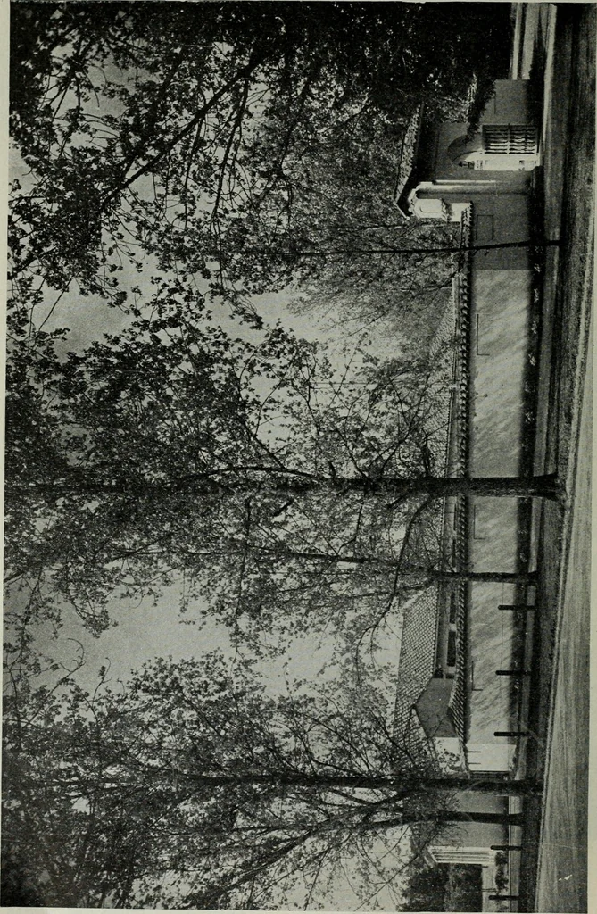 An illustration from Architect and engineer, 1905, leaf 67
