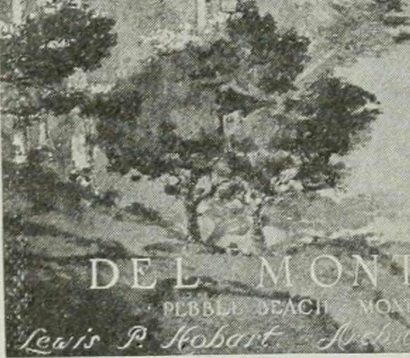 An illustration from Architect and engineer, 1905, leaf 691