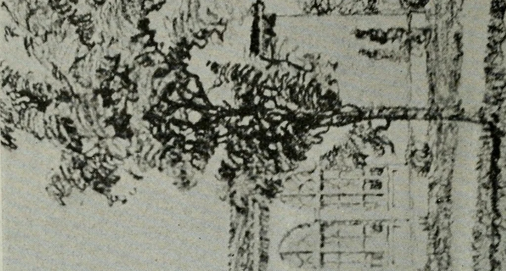 An illustration from Architect and engineer, 1905, leaf 725