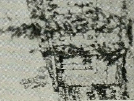An illustration from Architect and engineer, 1905, leaf 725