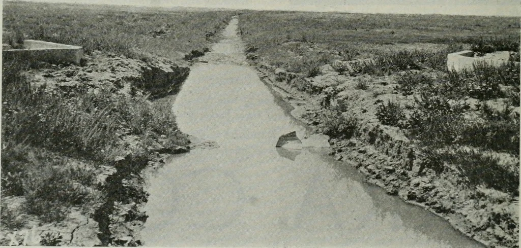 An illustration from Architect and engineer, 1905, leaf 795