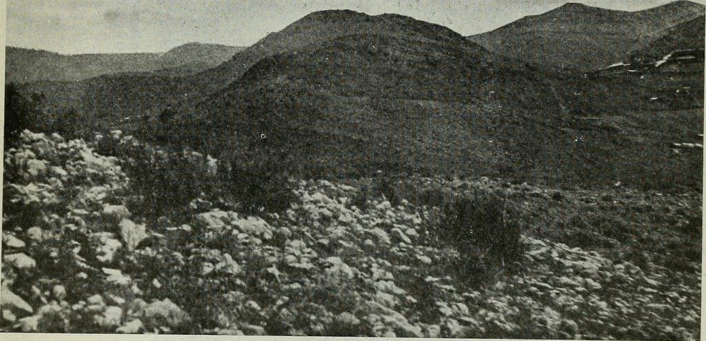 An illustration from Architect and engineer, 1905, leaf 884