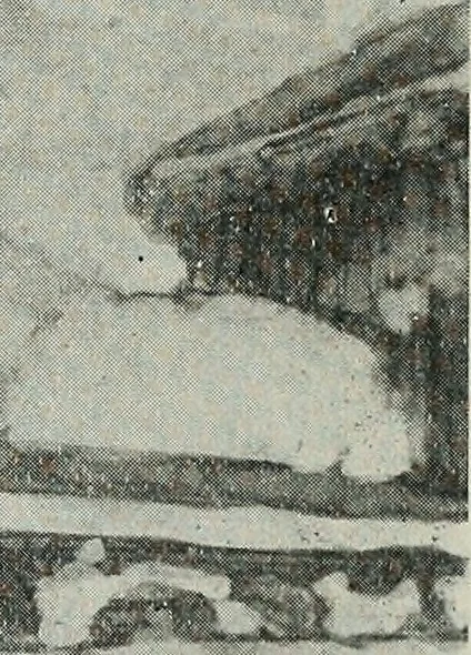 An illustration from Architect and engineer, 1905, leaf 904