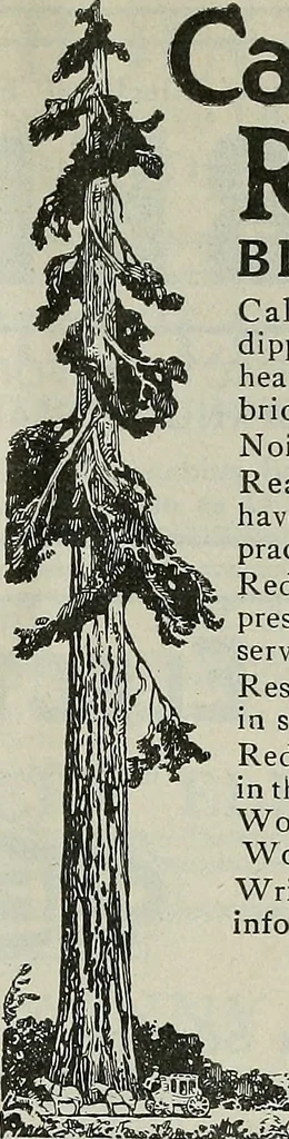 An illustration from Architect and engineer, 1905, leaf 990