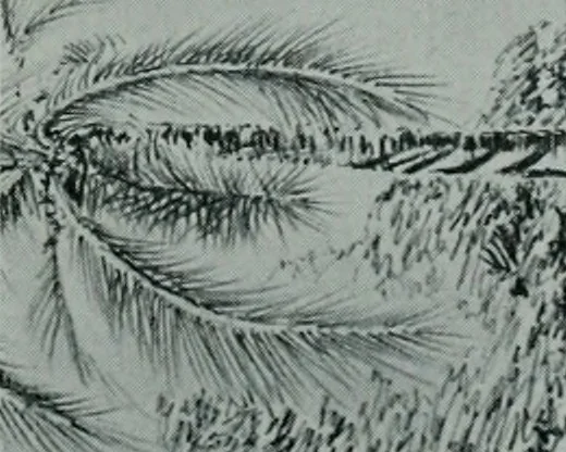 An illustration from Architect and engineer, 1905, leaf 387