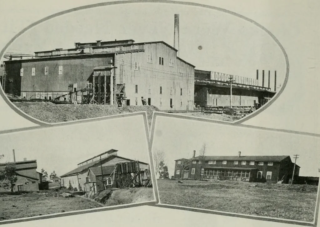 An illustration from Architect and engineer, 1905, leaf 490