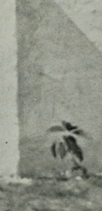An illustration from Architect and engineer, 1905, leaf 544