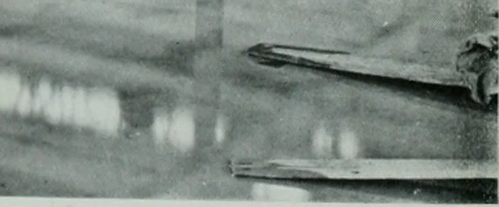 An illustration from Architect and engineer, 1905, leaf 561