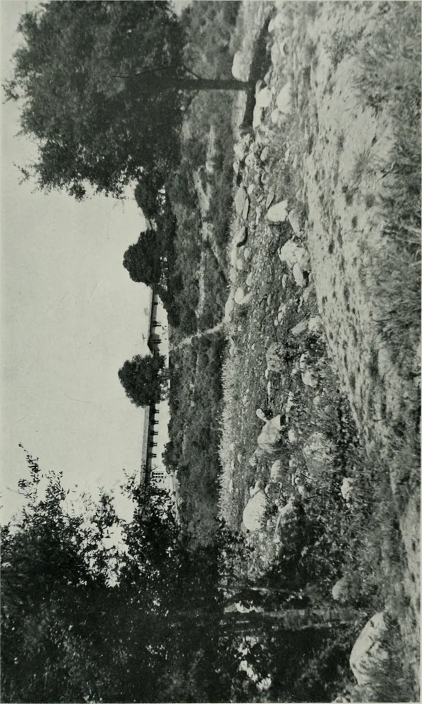 An illustration from Architect and engineer, 1905, leaf 60