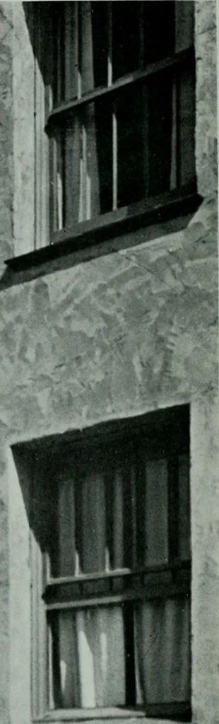 An illustration from Architect and engineer, 1905, leaf 705