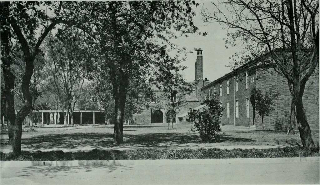 An illustration from Architect and engineer, 1905, leaf 869