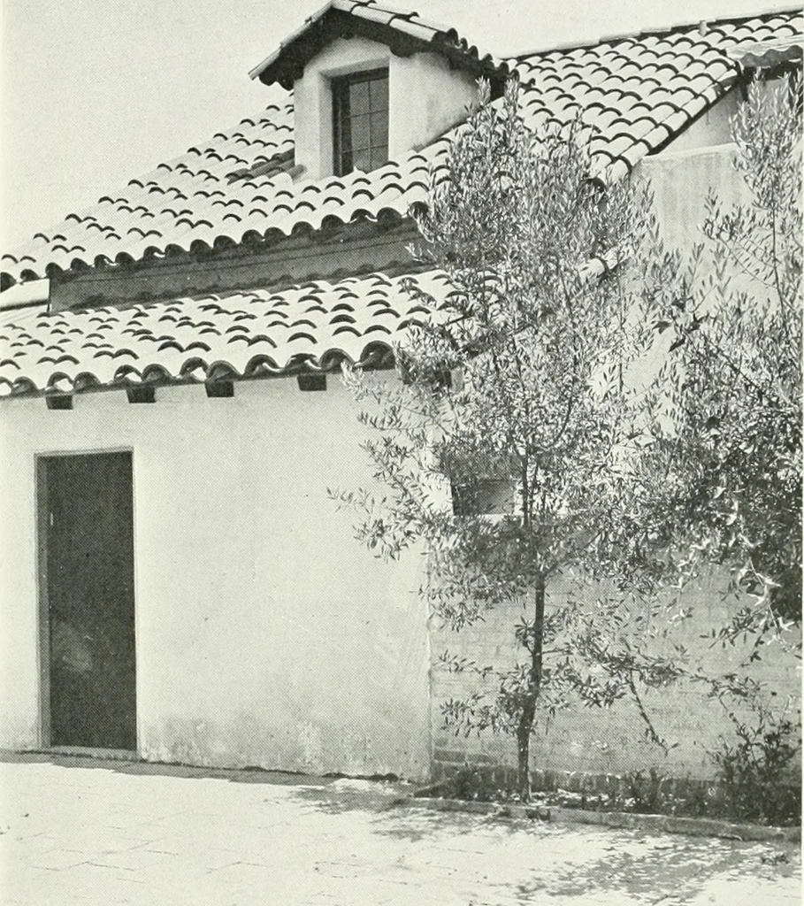An illustration from Architect and engineer, 1905, leaf 114