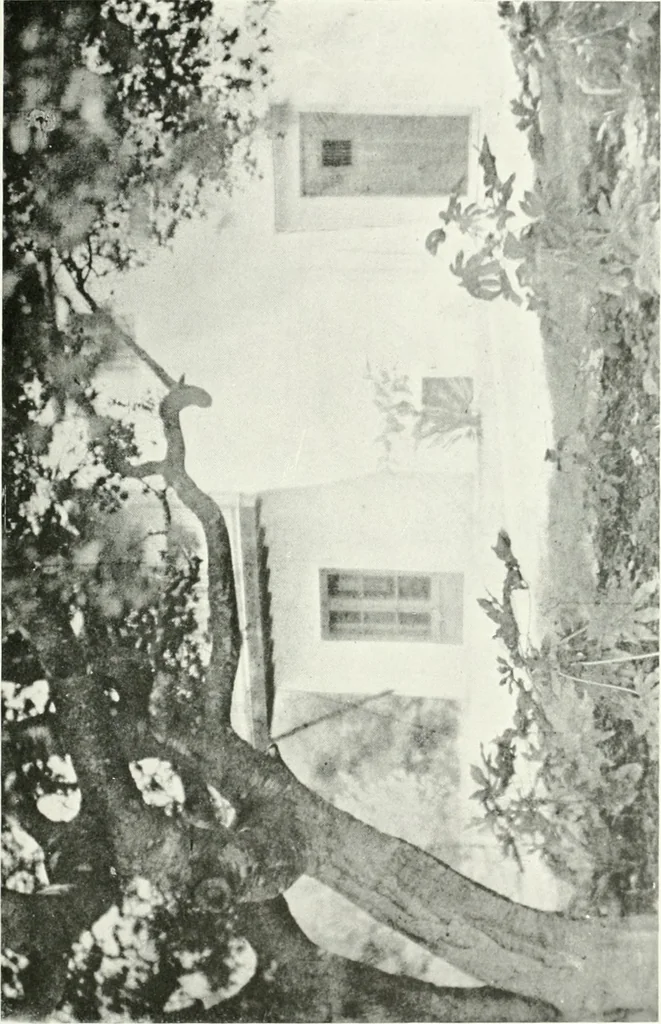 An illustration from Architect and engineer, 1905, leaf 120