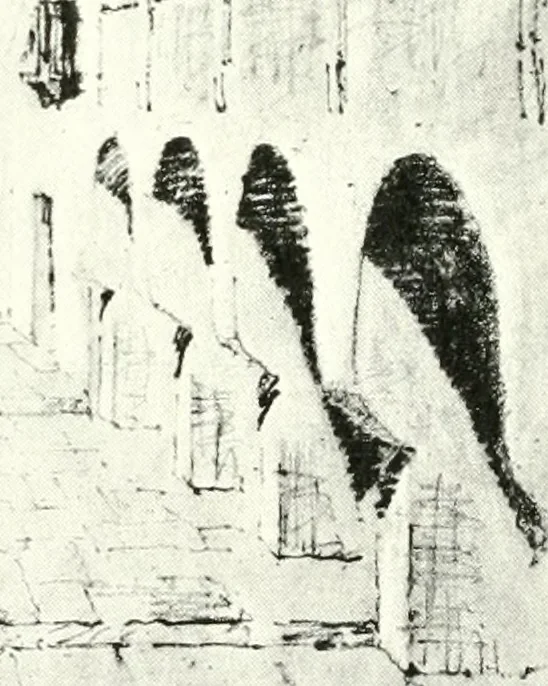 An illustration from Architect and engineer, 1905, leaf 147