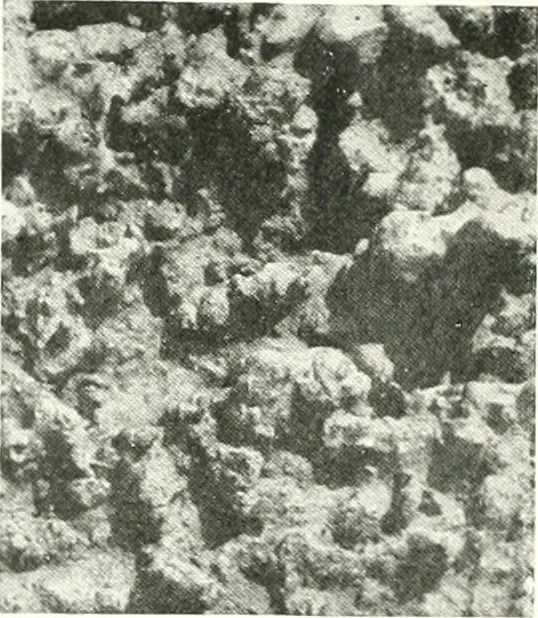 An illustration from Architect and engineer, 1905, leaf 203