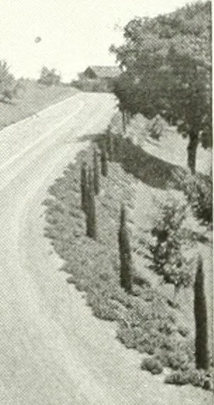 An illustration from Architect and engineer, 1905, leaf 21