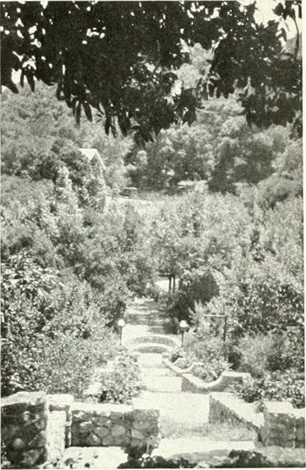 An illustration from Architect and engineer, 1905, leaf 21