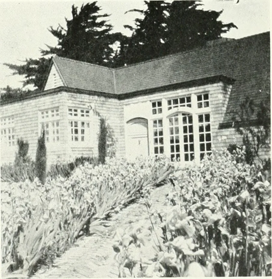 An illustration from Architect and engineer, 1905, leaf 287