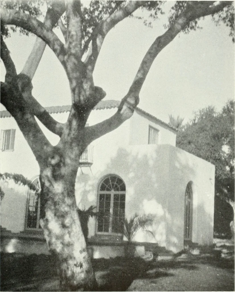 An illustration from Architect and engineer, 1905, leaf 463